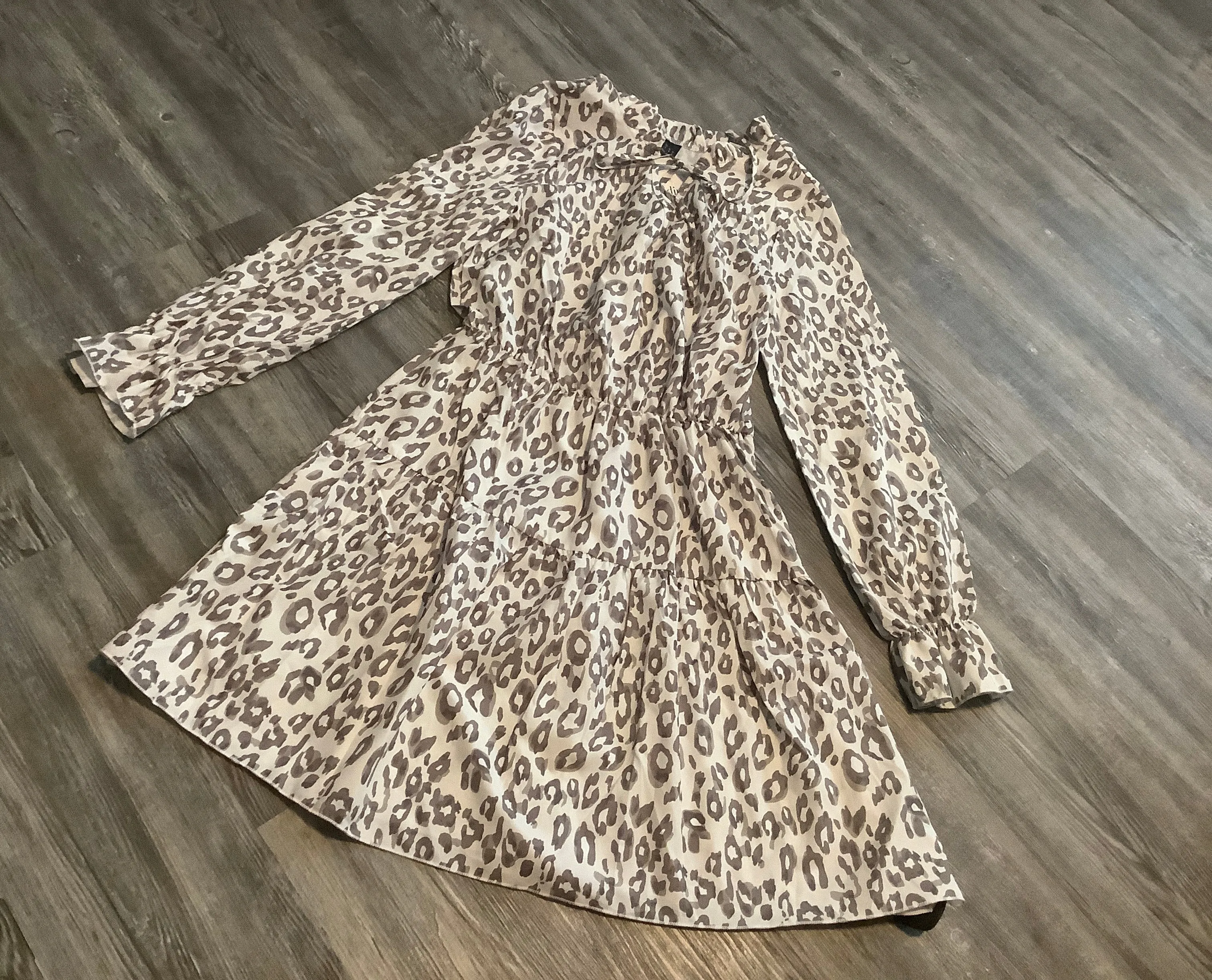 Animal Print Dress Casual Short Clothes Mentor, Size M