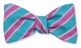 Aqua/Purple Conway Stripe Bow Tie - B5488