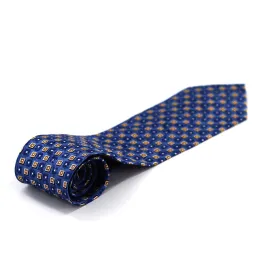 Imported Italian Tie - 100% Silk